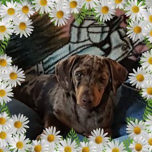 Meet your Posher, Vicky